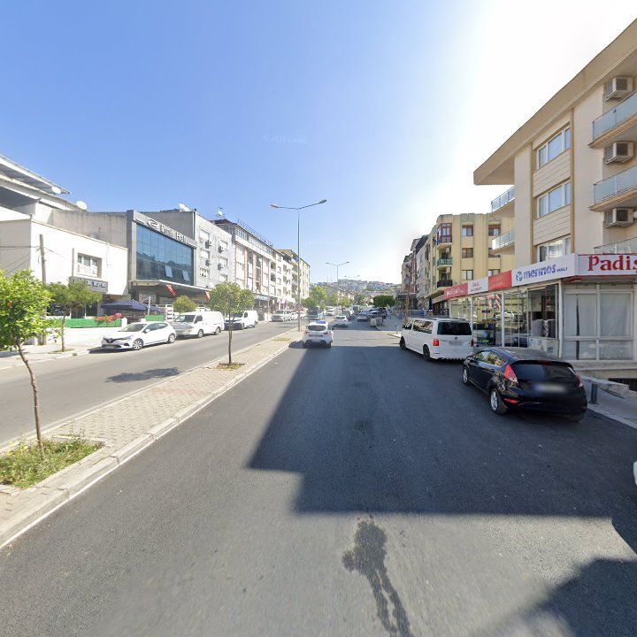 Fotoğraf 8