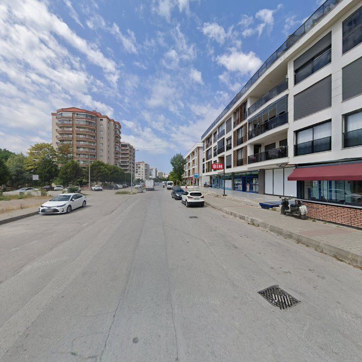 Fotoğraf 9