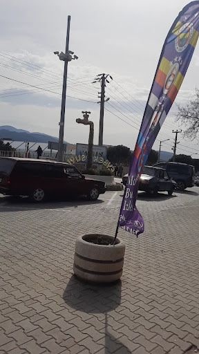 Fotoğraf 9