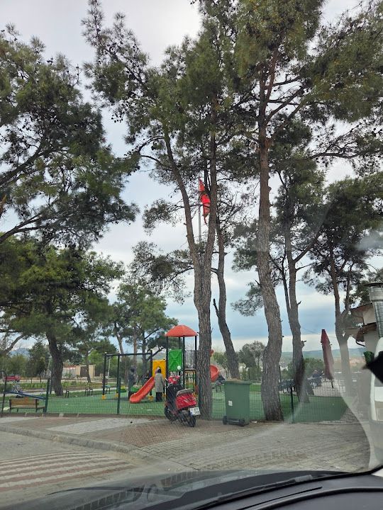 Yorum fotoğrafı 4