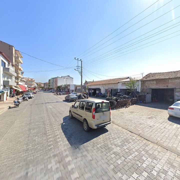Fotoğraf 3