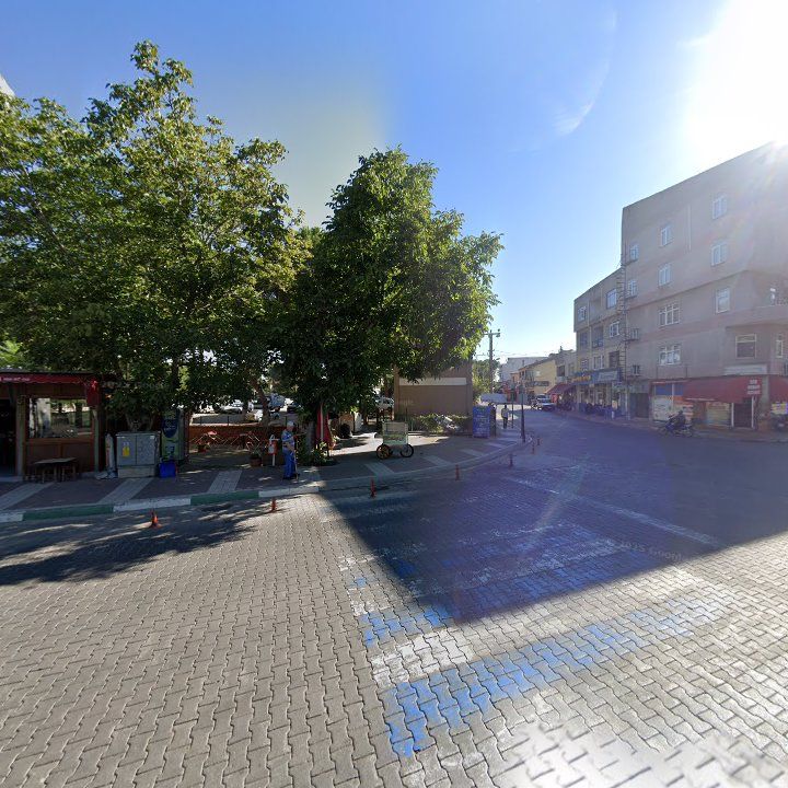 Fotoğraf 3