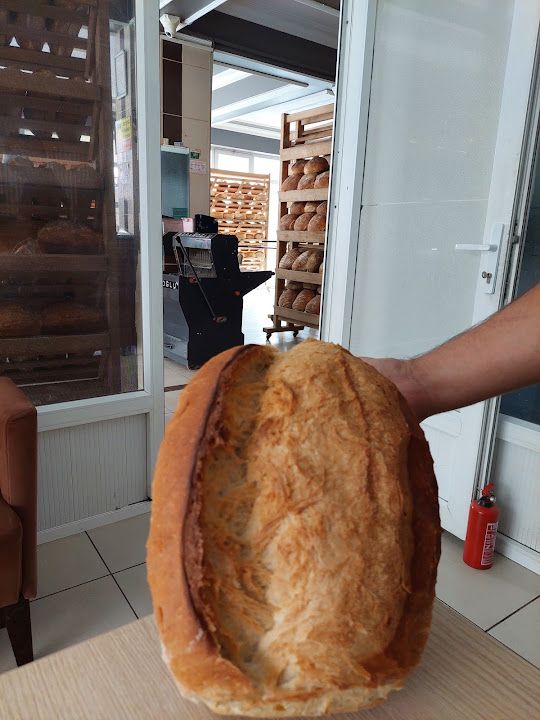Fotoğraf 19