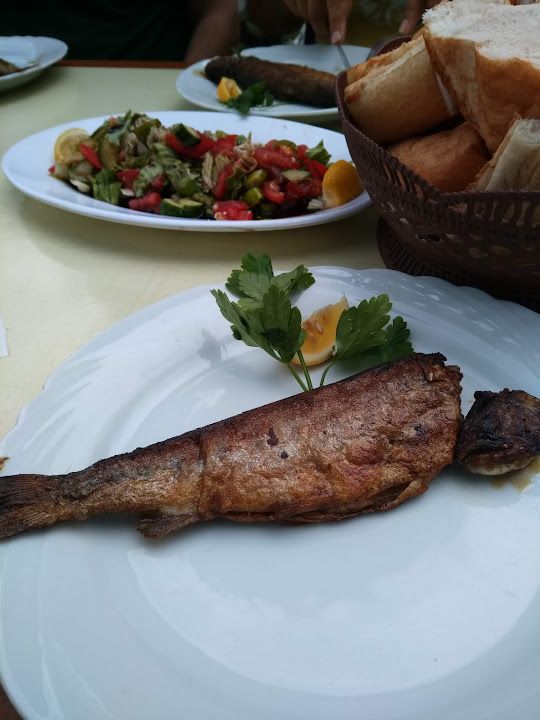 Hayta Alabalık Çifligi