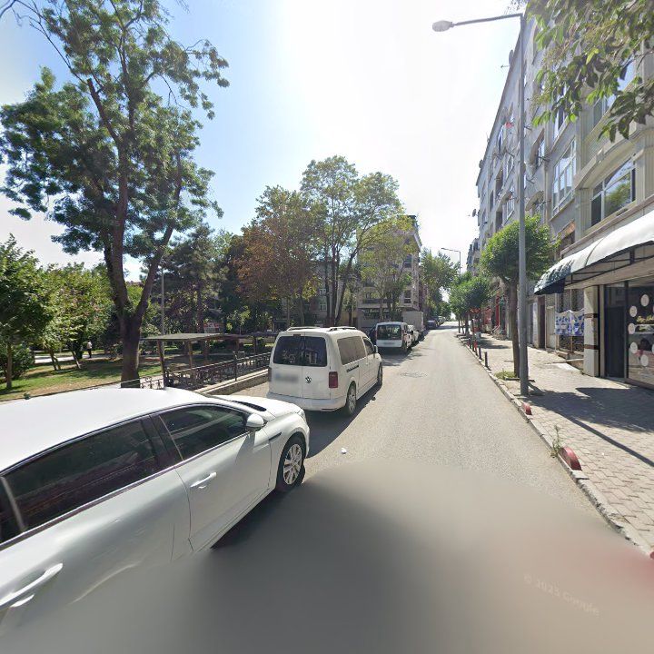 Fotoğraf 11