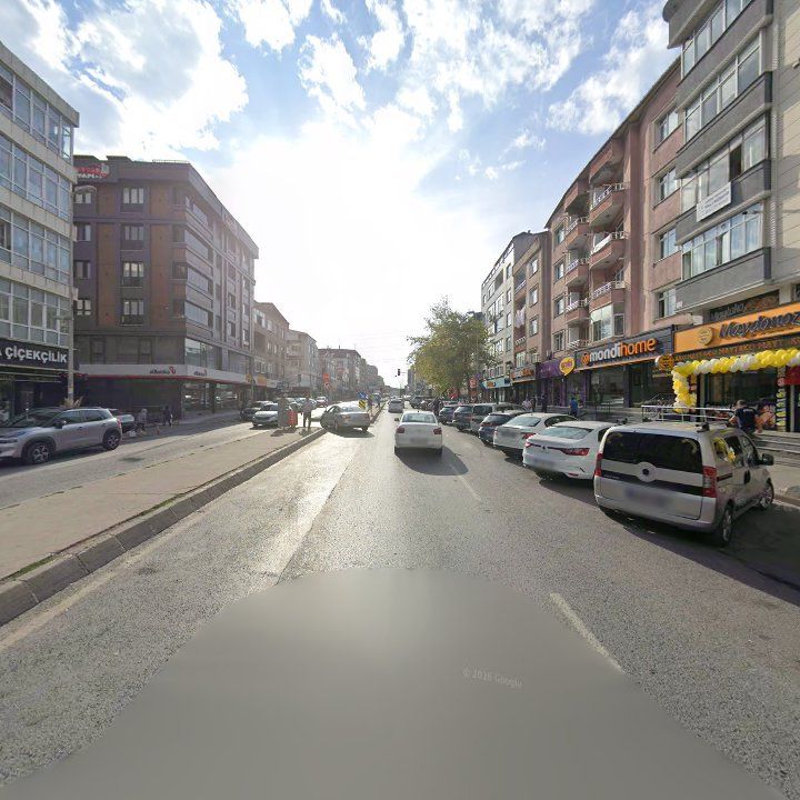 Fotoğraf 12