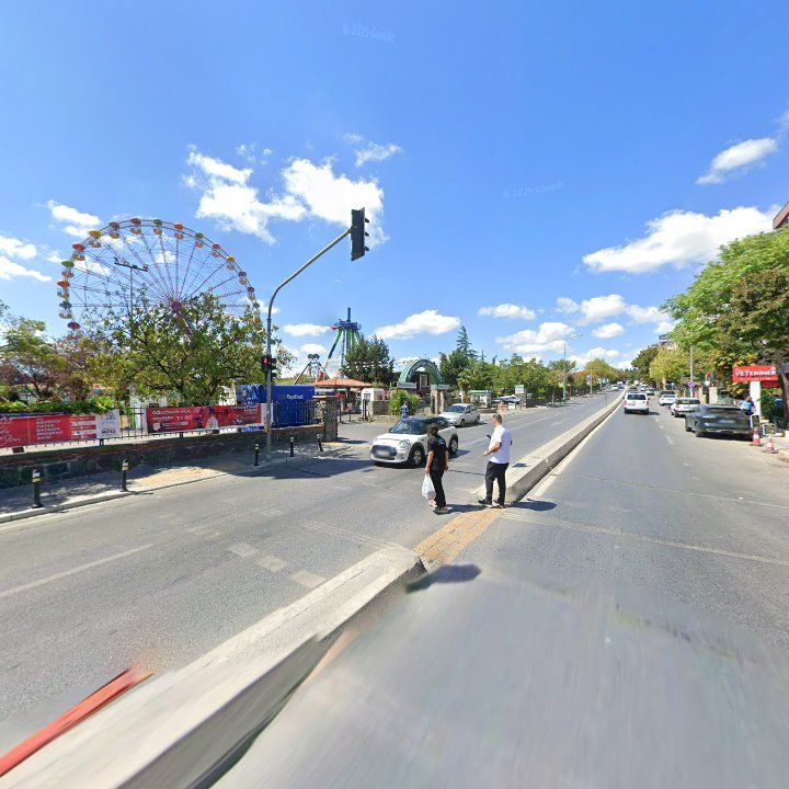 Fotoğraf 16