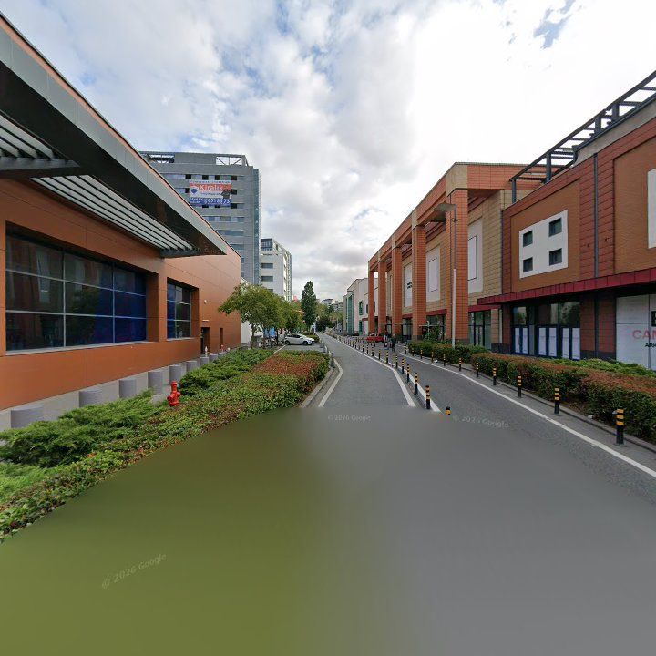 Fotoğraf 12