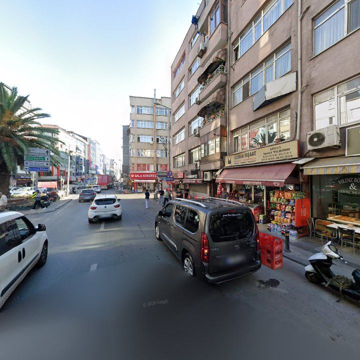 Fotoğraf 11