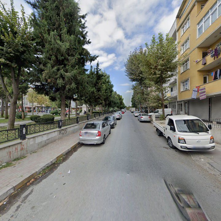 Fotoğraf 12