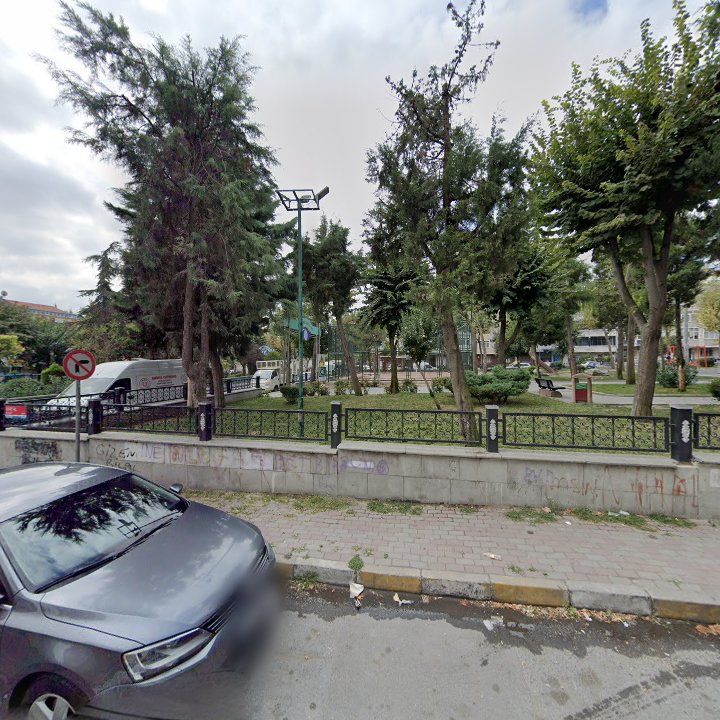 Fotoğraf 11