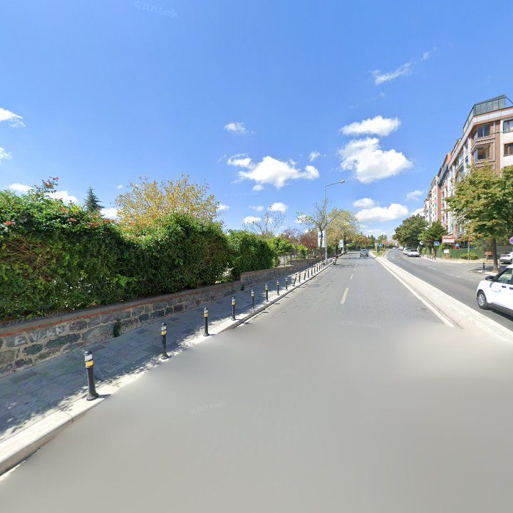 Fotoğraf 12