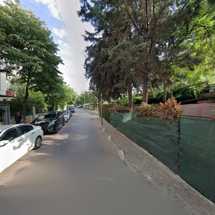 Fotoğraf 12