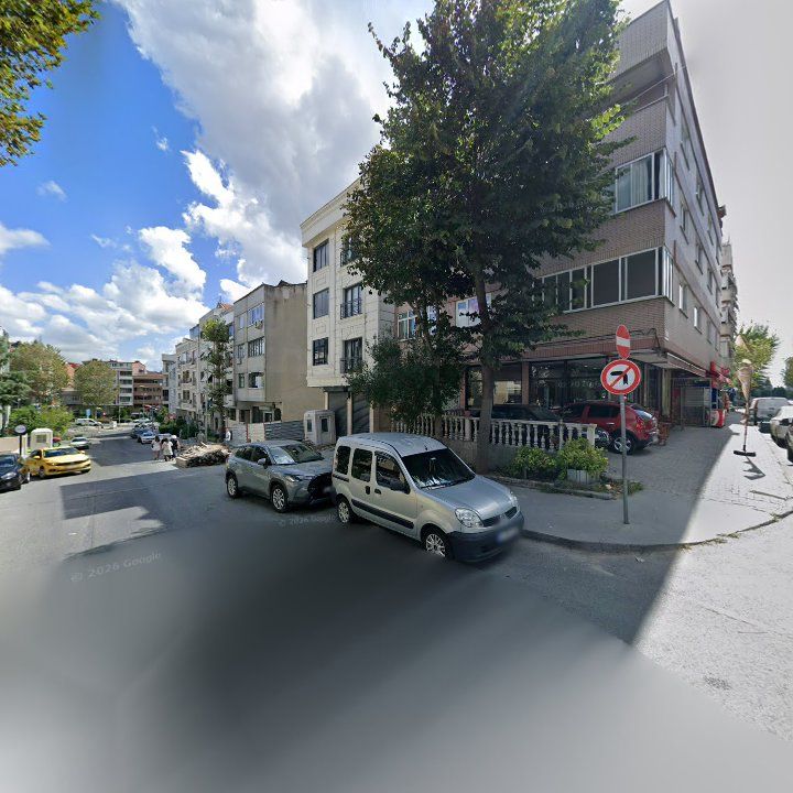 Fotoğraf 12