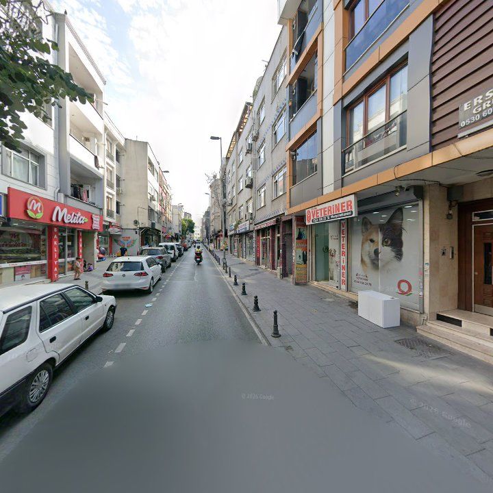 Fotoğraf 9