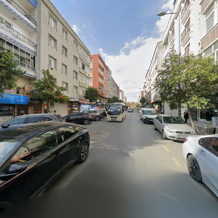 Fotoğraf 10
