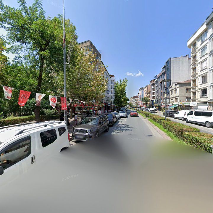 Fotoğraf 15