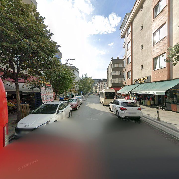 Fotoğraf 10