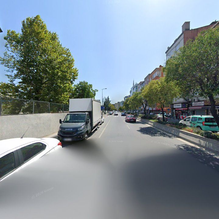 Fotoğraf 12