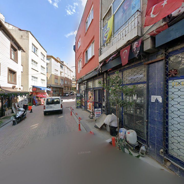 Fotoğraf 7