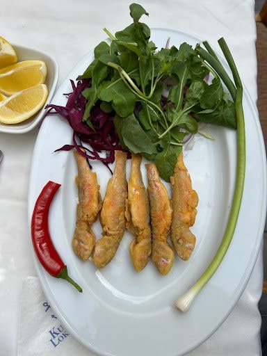Yorum fotoğrafı 6