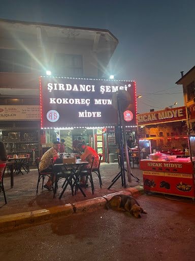 Fotoğraf 14
