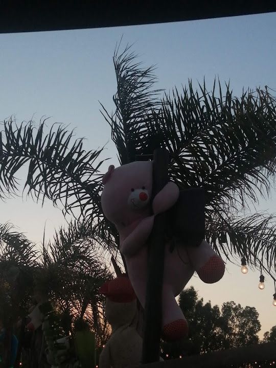 Fotoğraf 22