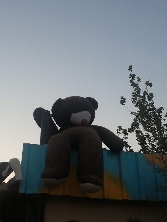 Fotoğraf 21