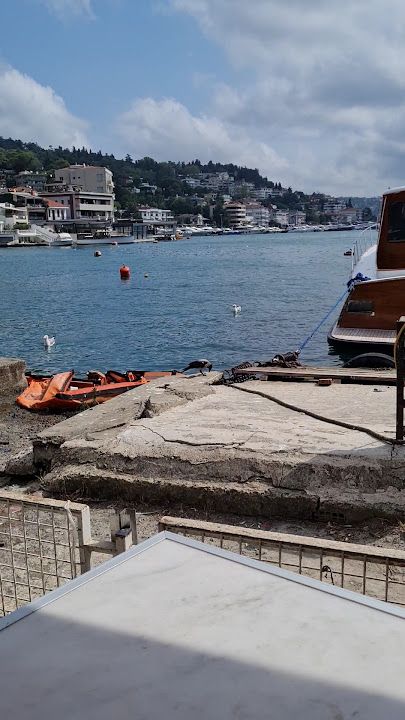 Fotoğraf 21