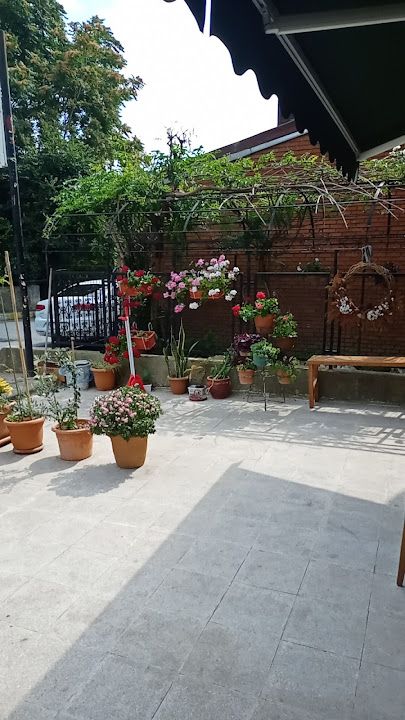 Fotoğraf 47
