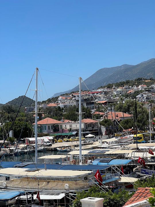 Fotoğraf 11