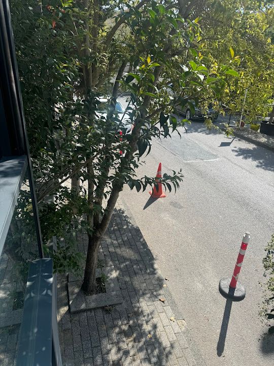 Fotoğraf 24