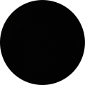 Begüm Arı