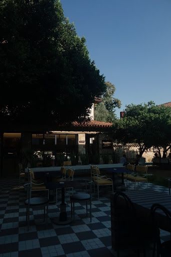 Fotoğraf 21