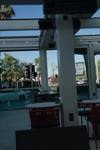 Fotoğraf 16