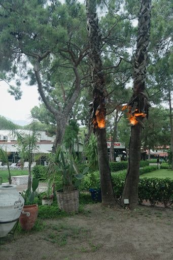 Yorum fotoğrafı 4