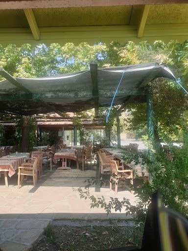 Yorum fotoğrafı 5