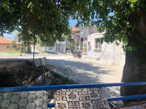 Fotoğraf 15