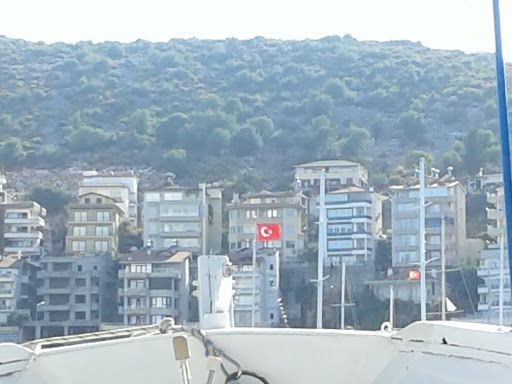 Yorum fotoğrafı 3