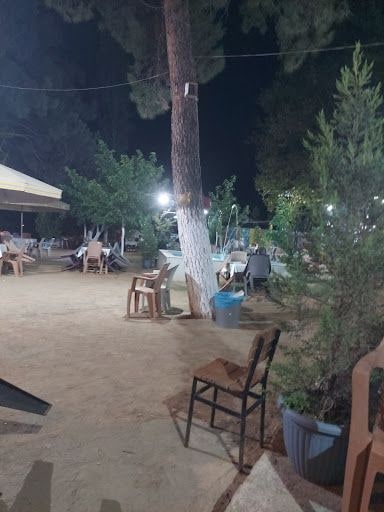 Fotoğraf 22
