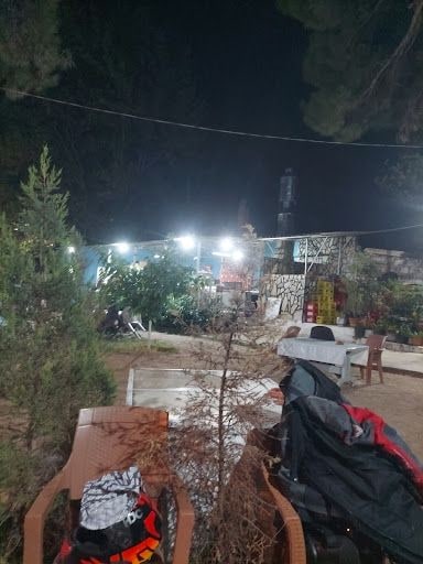Fotoğraf 23