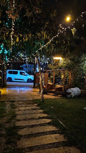 Fotoğraf 17
