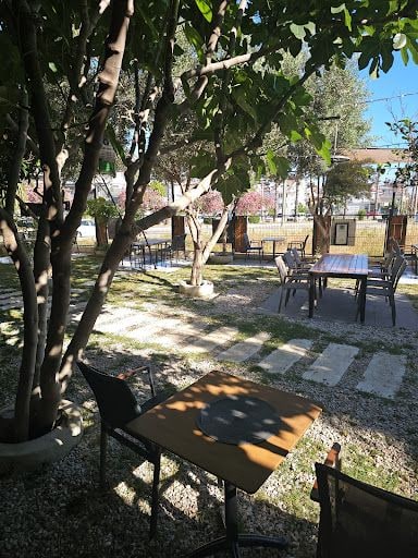 Fotoğraf 19
