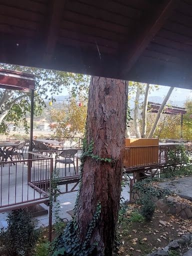 Yorum fotoğrafı 6