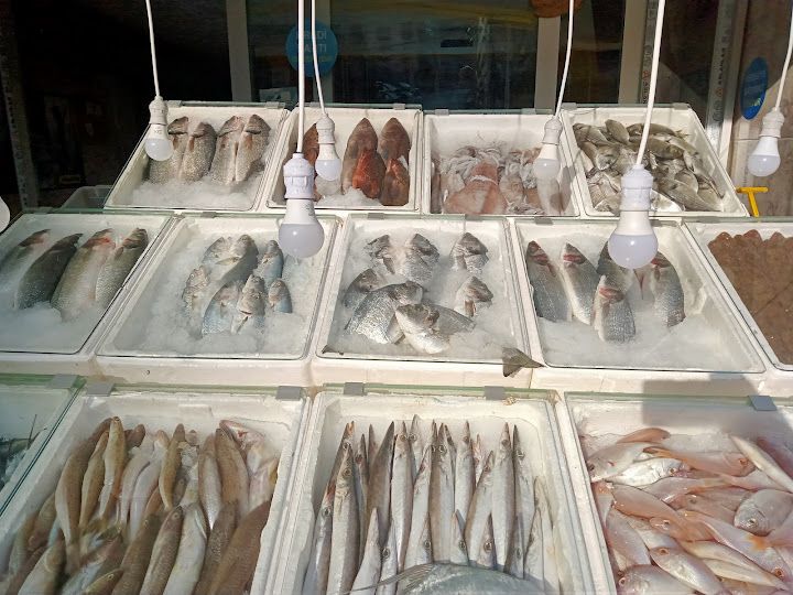 Belen Olta Balıkçısı