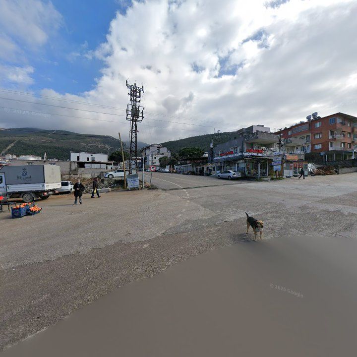 Fotoğraf 2