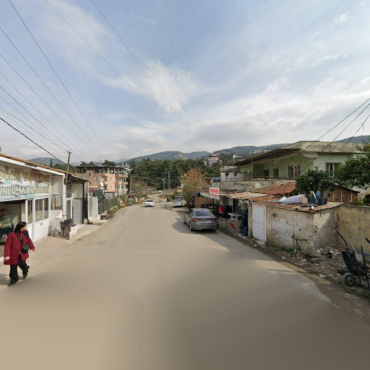 Fotoğraf 5