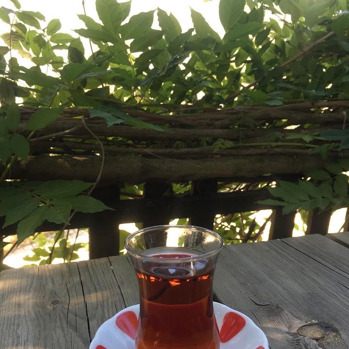 Fotoğraf 30