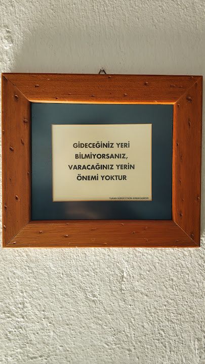 Fotoğraf 62
