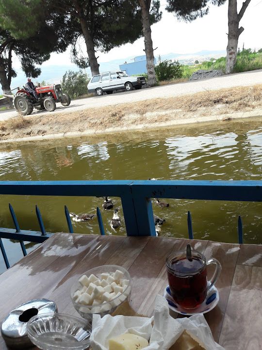 Fotoğraf 12